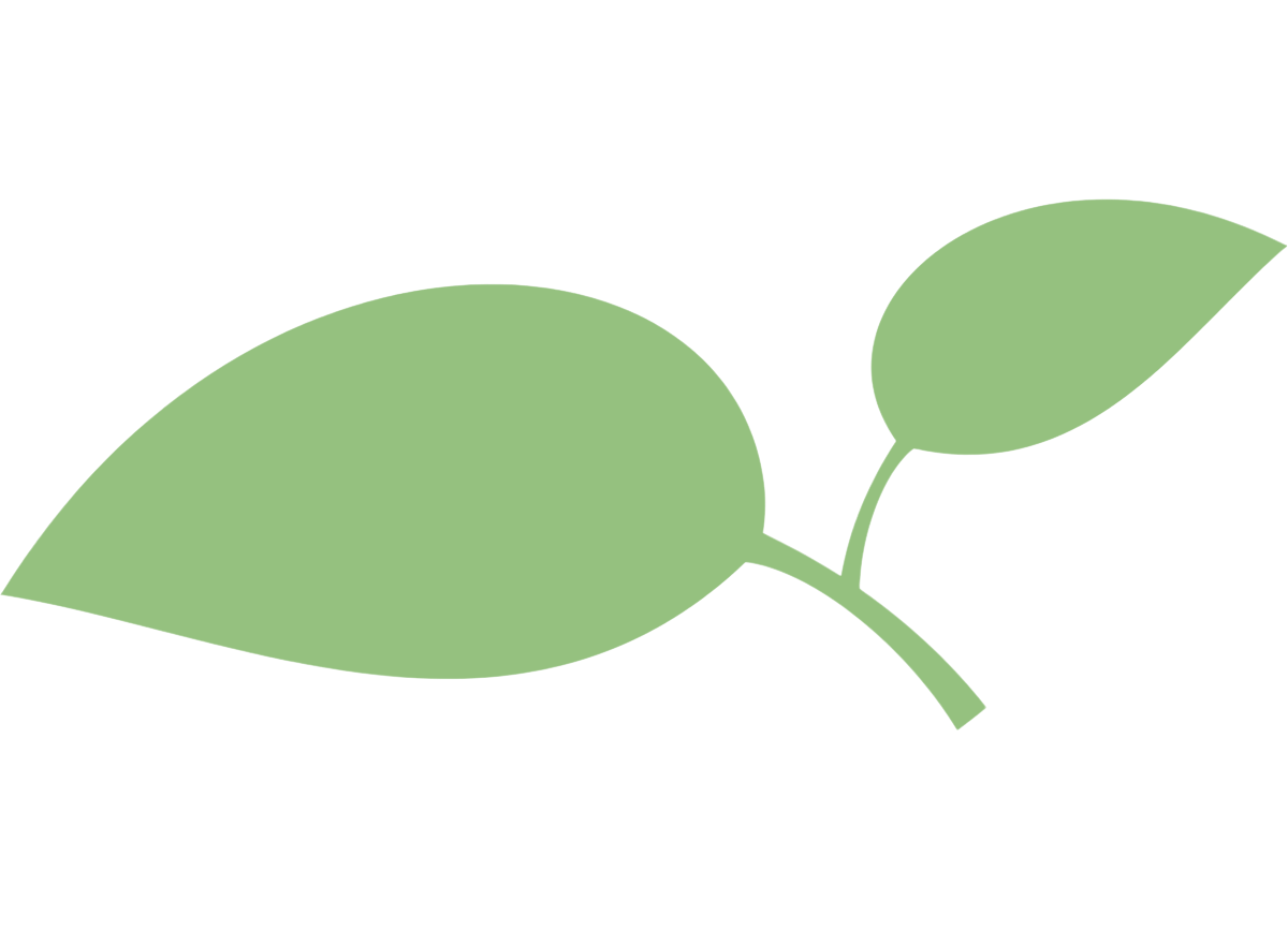 joik refreshing facial toner