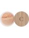 Couleur Caramel HD Silk Powder 11 Nude