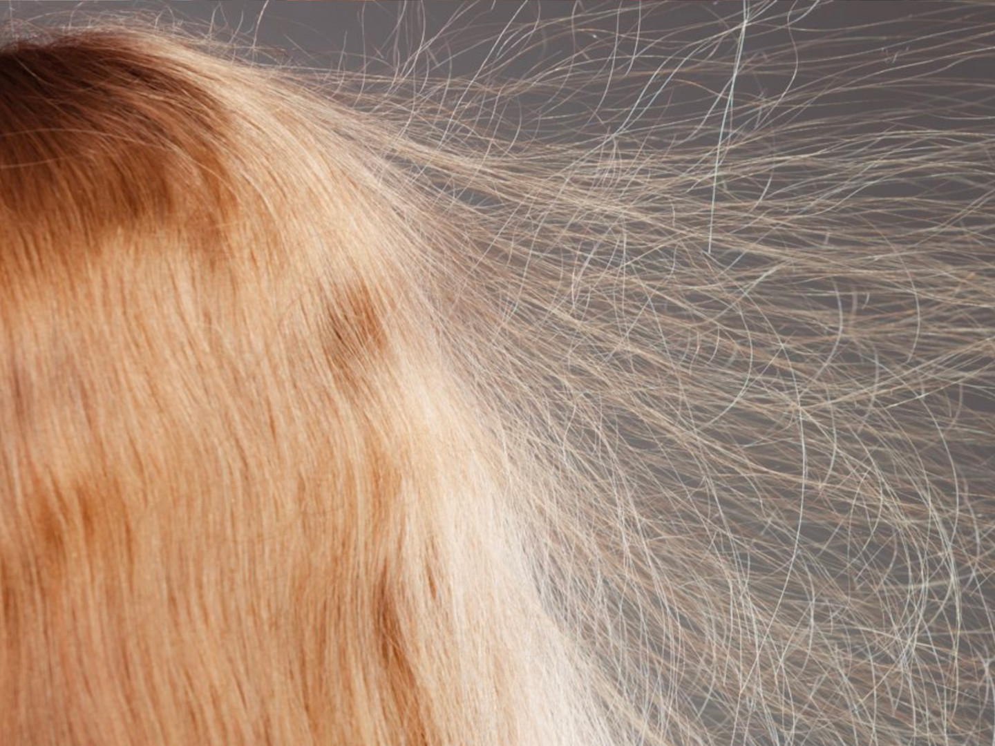 Nooit Meer Statisch Haar in de Winter: De Beste Tips!